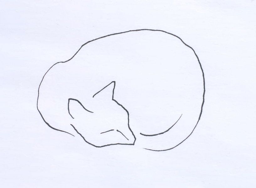 Schlafende Katze Strichzeichnung von Paul Nieuwendijk