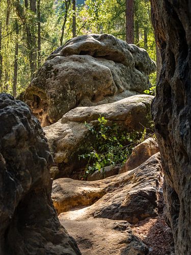 Koningspad, Saksisch Zwitserland - Rotsen bij kasteel Wartburg