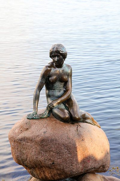 The little Mermaid by Petra Brouwer