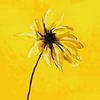 Sonnige Sonnenblume von Go van Kampen