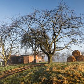 Warm spring day in the Swabian Alb by Anselm Ziegler Photography