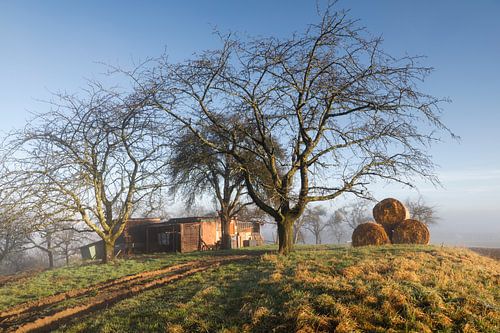 Warmer Frühlingstag auf der Schwäbischen Alb von Anselm Ziegler Photography