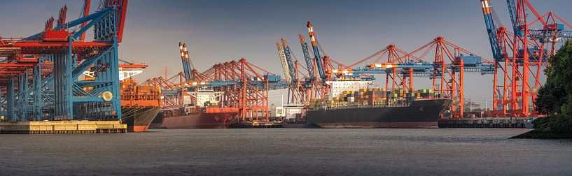 Container port with cargo ships and harbour cranes by Jonas Weinitschke
