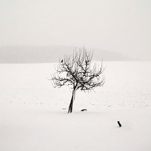 Winterstille