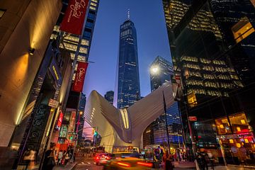 New York One World Trade Center en Occulus van Kurt Krause