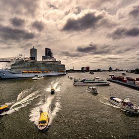 Harmony of the Seas ( Rotterdam Timelapse )  von Cris Martinez