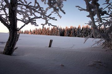 Winterwald mit Sonnenuntergang am Kreuzberg