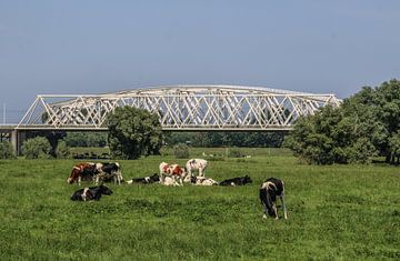 Westervoortse brug van Karlo Bolder