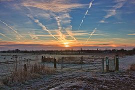 Cold morning by Kristof Desmet