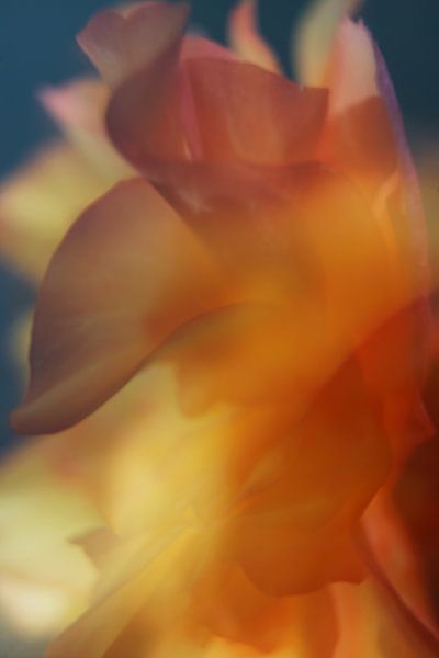 let the sun shine in (3) by joyce kool