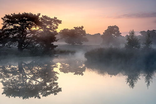 a beautiful sunrise over the fen
