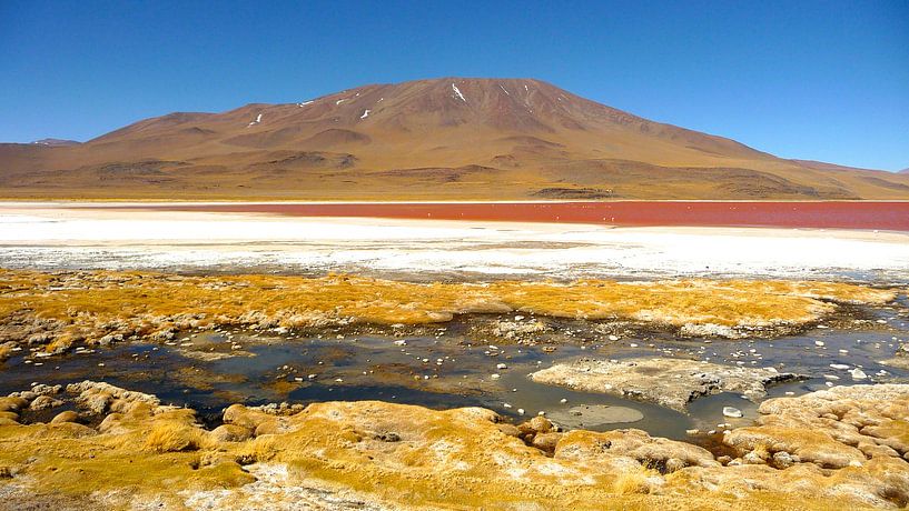 'Gele mossen en zout', Bolivia by Martine Joanne