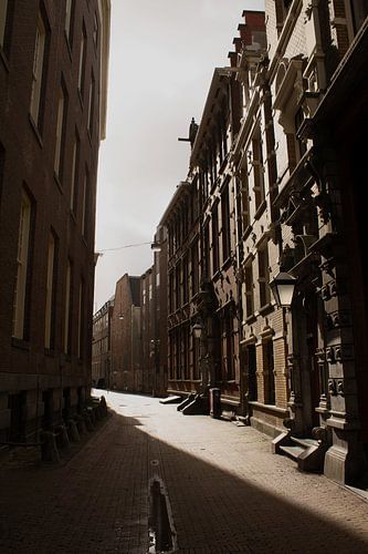 Schaduw over de Handboogstraat Amsterdam