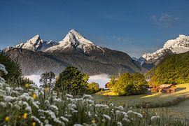 Watzmann mit Blumenwiese von Marika Hildebrandt FotoMagie