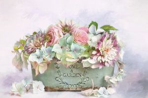 Fleur Symhony - couleur bella