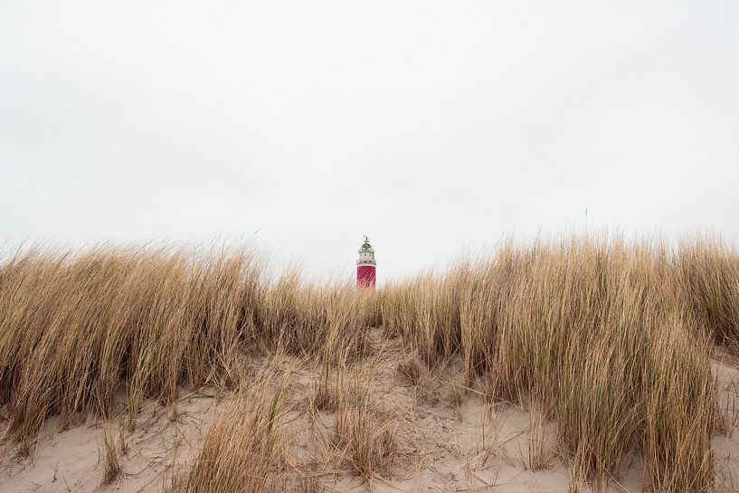 Vuurtoren in  de Duinen 2 van Foto Studio Labie