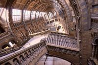 Interior of the Natural History Museum, London, UK