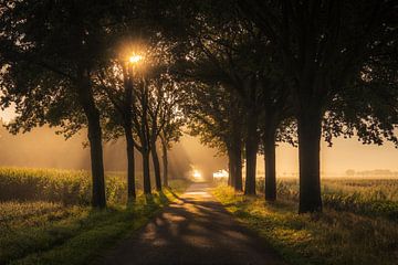 Nieuwkuijk Lever de soleil matinal sur Zwoele Plaatjes