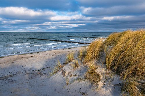 Kribben aan de kust van de Oostzee op Fischland-Darß
