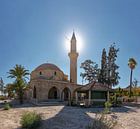 Die Moschee von Umm Haram, Larnaca, Zypern, Süd-Zypern von Rene van der Meer Miniaturansicht
