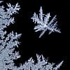 ijs-art-ijskristallen III van Klaartje Majoor thumbnail