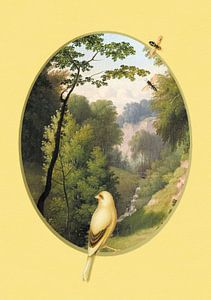 Bird with a View