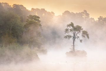 Mystical sunrise by Andy Luberti