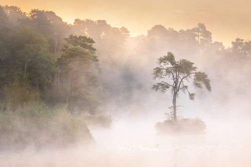 Mystieke zonsopkomst