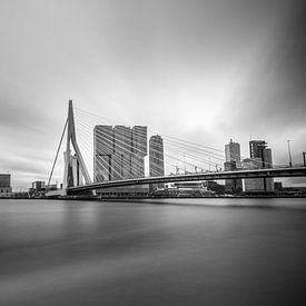 Rotterdam, Pont Erasmus, magnifique en noir et blanc sur Patrick Verhoef