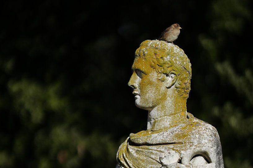 Standbeeld met Vogel Villa Borghese Rome Italië van Martijn Jebbink Fotografie