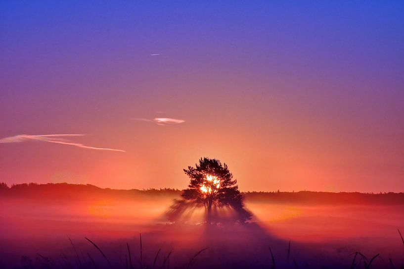 Zonsopgang op de hei in september by Pieter Beens