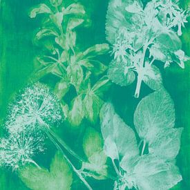 Grüner botanischer Druck - frische moderne Naturstudie voller Licht und Textur von But First Framing