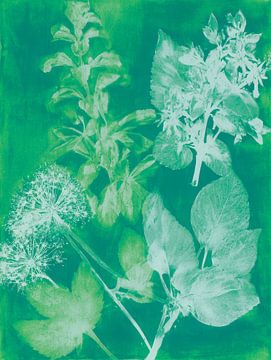 Groene botanische afdruk – frisse moderne natuurstudie vol licht en textuur