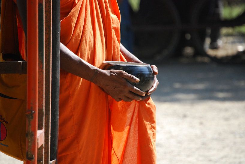 Bhikkhu monnik van Onne Kierkels