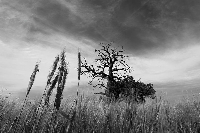 Contrastrijk landschap met een tegenstelling tussen drama en opklaring van Online memories