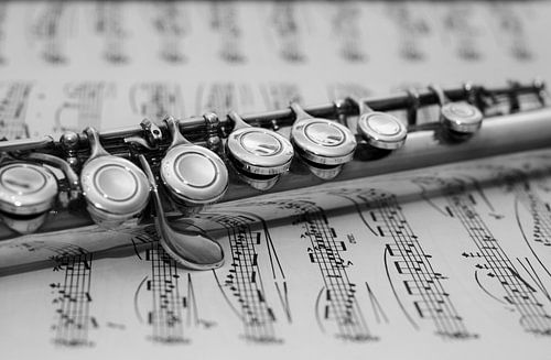 Dwarsfluit op bladmuziek van Esther's Photos