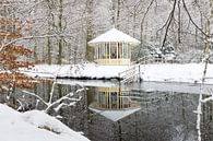Winter op Landgoed Elswout von Michel van Kooten Miniaturansicht