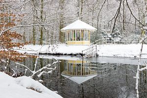 Winter op Landgoed Elswout sur Michel van Kooten