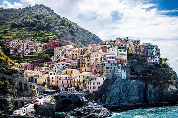 Manarola - Cinque Terre - Italien von Lizanne van Spanje