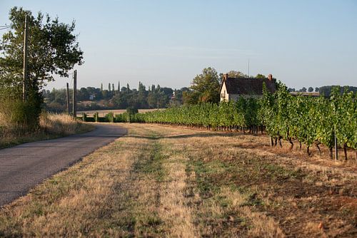 Franse platteland met zicht op een wijngaard van Marco Bakker