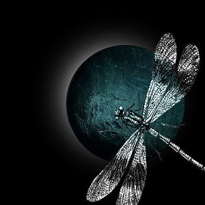 DRAGONFLY IV-B van Pia Schneider