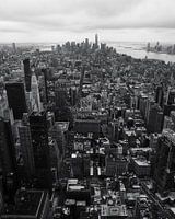 Views of New York City from the Empire State Building