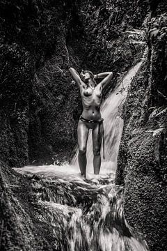 Nude in Waterfall