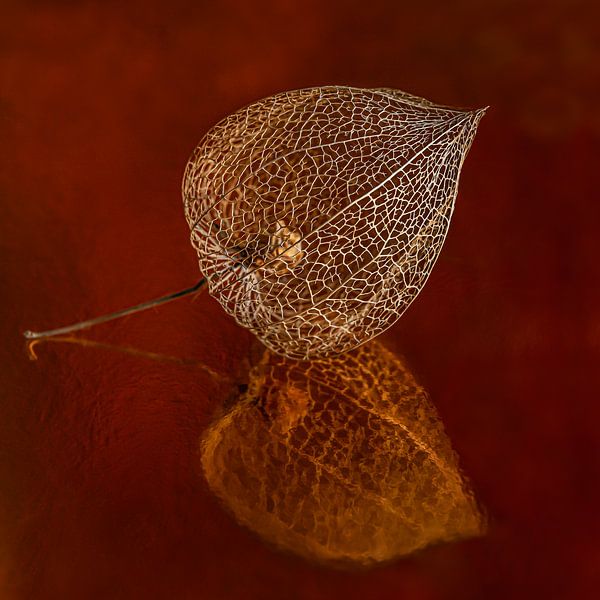 Warme herfstkleuren: Een gouden lampionnetje van Marjolijn van den Berg