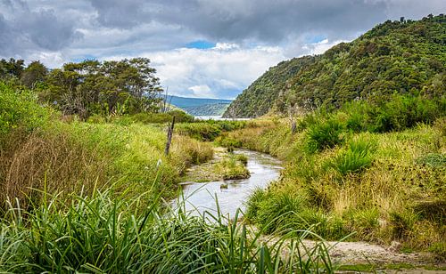 Water stream flows through the volcanic valley, new zealand
