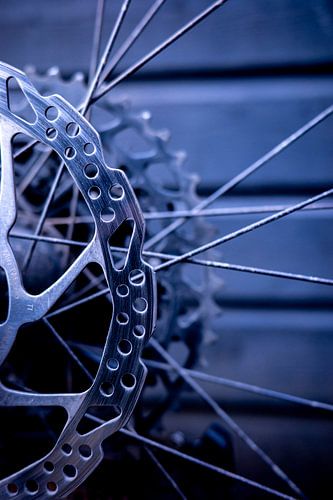 jnkj;kjh sur Christa Stroo photography