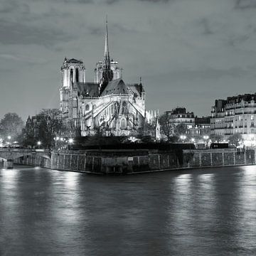 Cathedral Notre Dame at night, Paris by Markus Lange