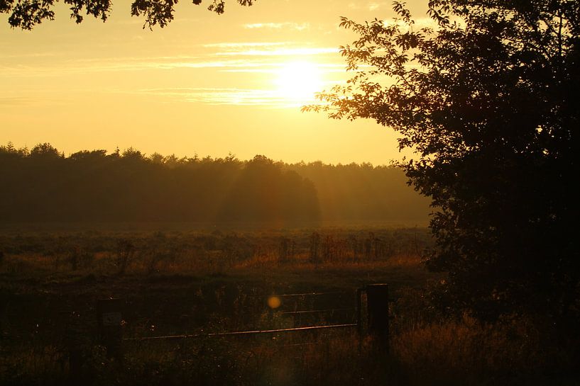 Sunset in Old William by Anne Peetoom