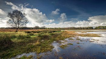Jiltdijksheide Groningen