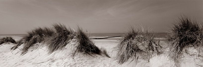 Duinen aan Noordzee van Hans Albers